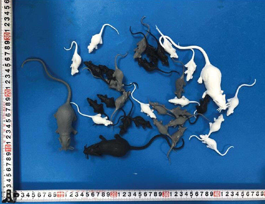 �����������10