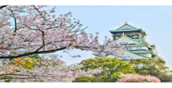 ����ѷ�ձ�վ|������ָ֤��