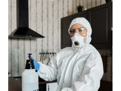 ����ŷ�˵ķ�����Ʒ����֪��REACH����Ҫ������