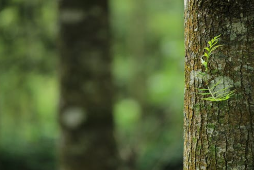 ��ϣ��Ϸ(�й���½)�ٷ���վ