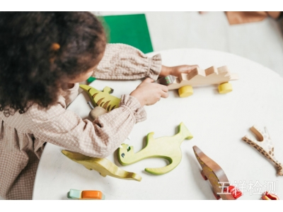 2009/48/ECŷ�����ָ������Э����׼�嵥