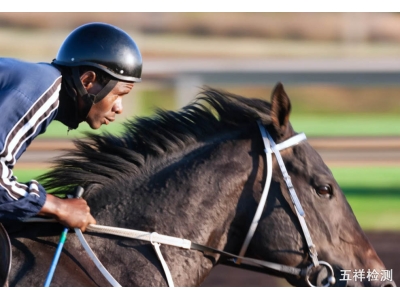 ASTM F1163����ͷ�����Ա�׼