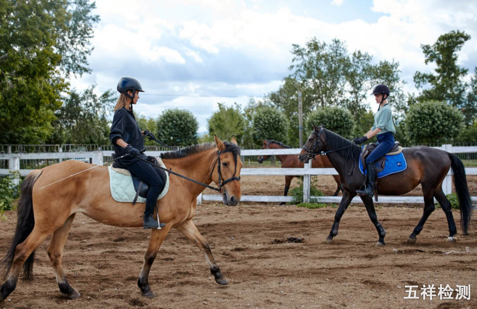 ��ϣ��Ϸ(�й���½)�ٷ���վ