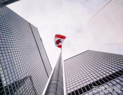 ���ô����ͯ���β��к�SOR/2018-82���ٻأ�